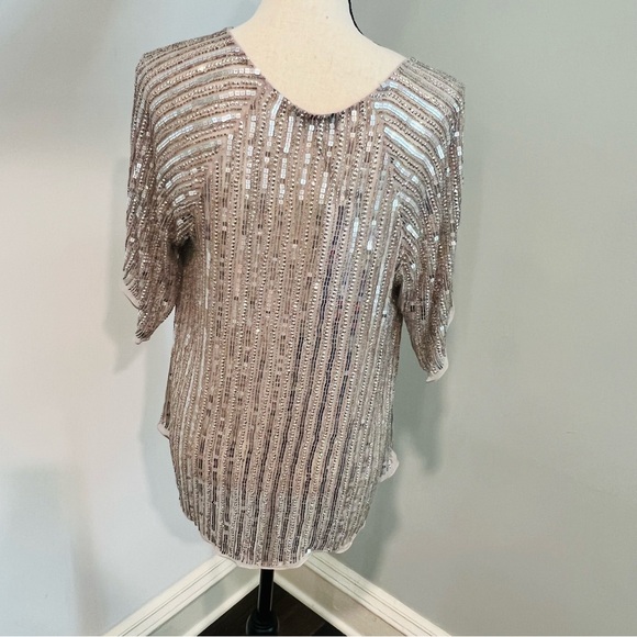 - Parker Silver Sequin Beaded  Blush Silk Blouse L - Picture 4 of 12
